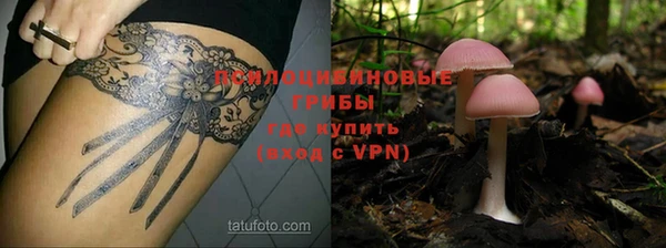 сатива Кодинск