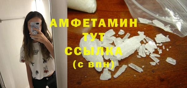 молекула духа Козельск