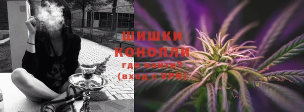 молекула духа Козельск
