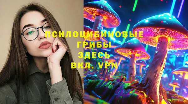 сатива Кодинск