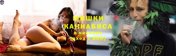 сатива Кодинск