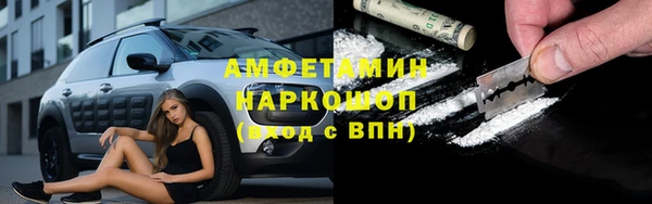 молекула духа Козельск