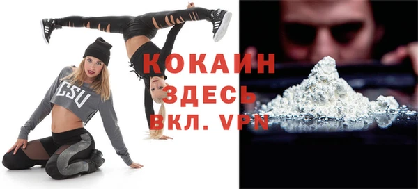 сатива Кодинск