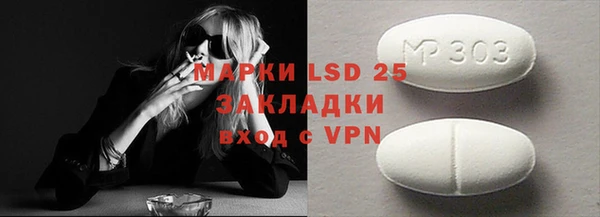 молекула духа Козельск