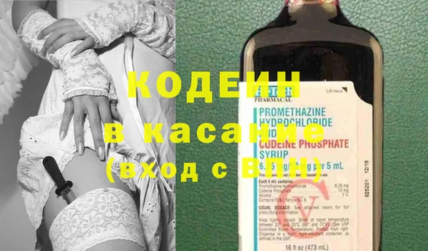 молекула духа Козельск