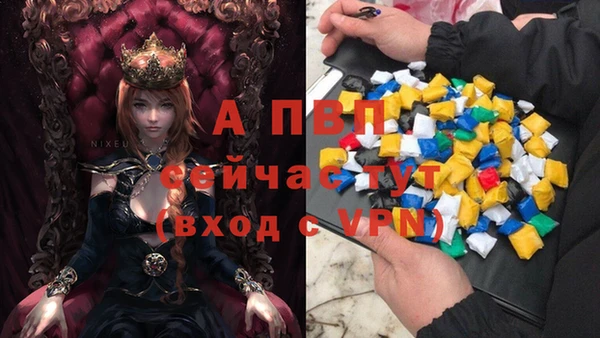 спиды Козловка