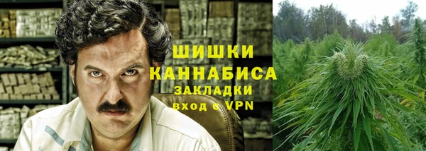 сатива Кодинск