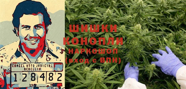 спиды Козловка