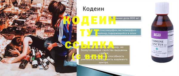 молекула духа Козельск