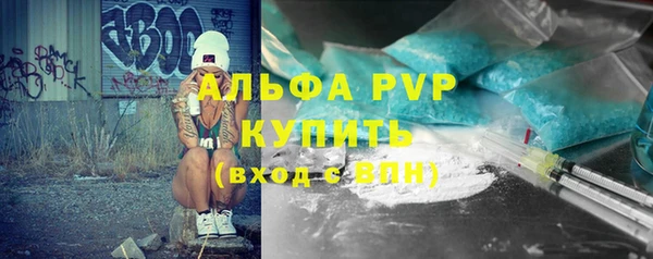 молекула духа Козельск