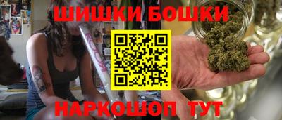 индика Заволжье