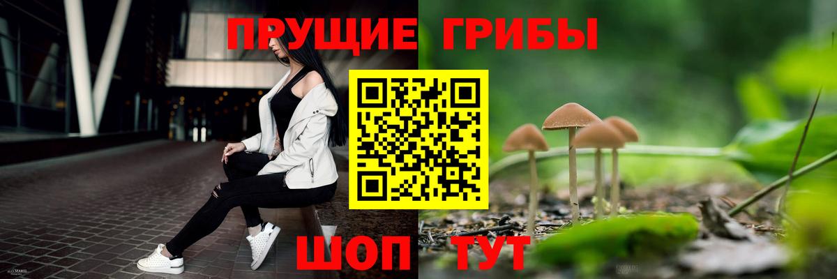 Псилоцибиновые грибы GOLDEN TEACHER  Вход с VPN  Лесной 